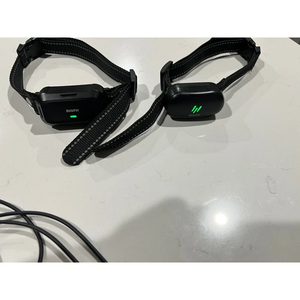 Delupet Dog Training Collar Set for 2 Dogs with Remote Rechargeable Black